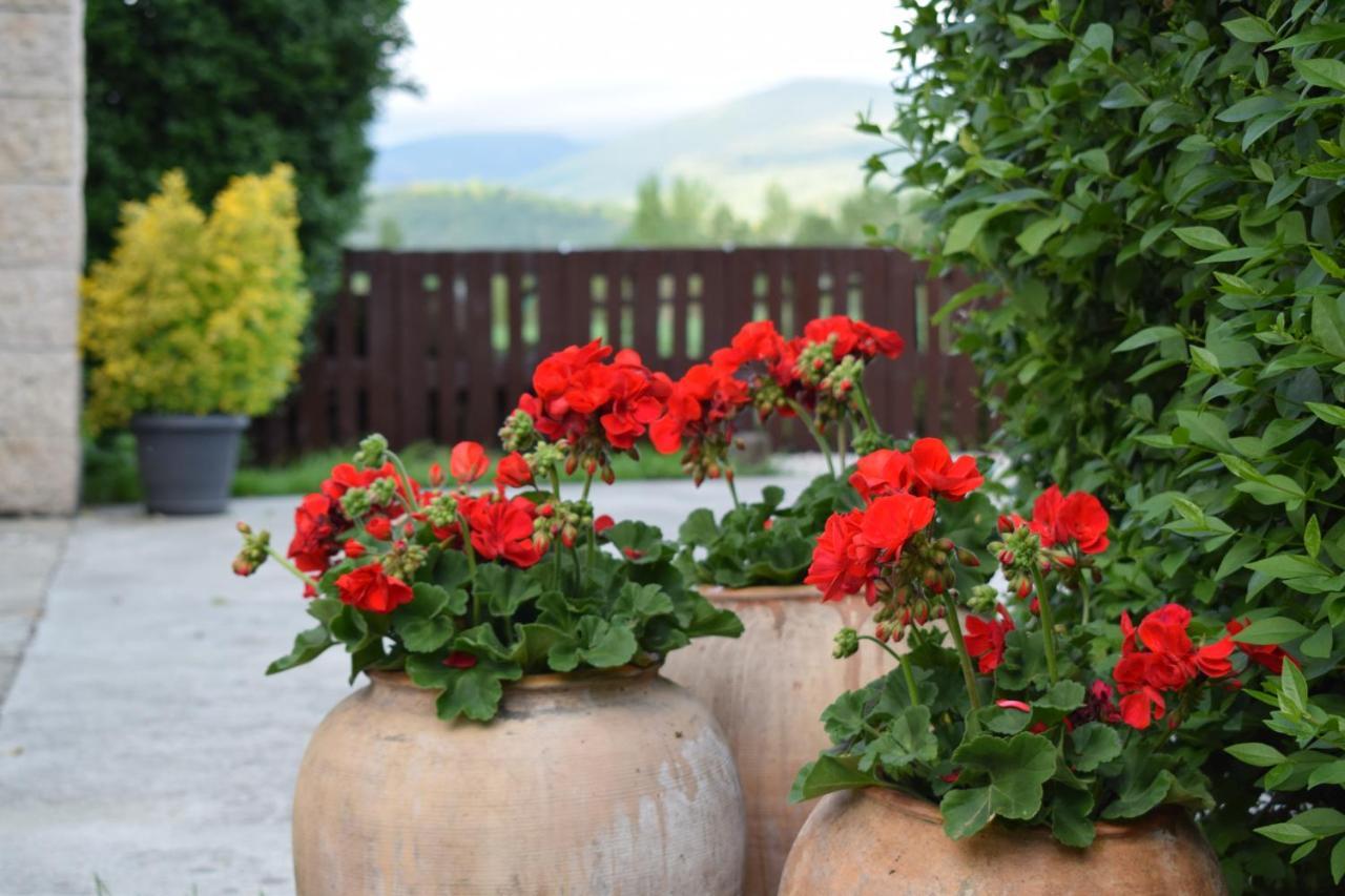 Casa Rural Galain Lizaso Екстериор снимка
